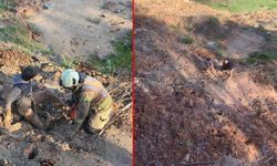 Bisikletiyle gezen çocuk çamura saplandı; 'İmdat' çığlığını duyan polis kurtardı