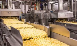 Bu Fabrikada Çalışanlar Servet Kazanıyor: Maaş 110 Bin TL