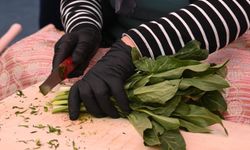 Kahramanmaraş'ta kökü yenen bitkinin adı kırtmaç