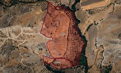 Çağlayancerit’te icra yoluyla 7 taşınmaz satışa çıkarıldı