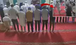 Camiye giren yılan korku dolu anlar yaşattı