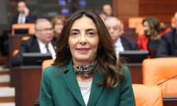 CHP Bursa Milletvekili Nurhayat Altaca Kayışoğlu kimdir?