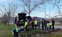 Cip ağaca çarpıp alev aldı, 1 kişi hayatını kaybetti