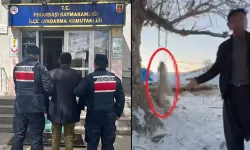 Çok yediğini iddia ettiği köpeğini ağaca asıp öldürmüştü: Tutuklandı