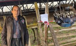 Çorum Deniz köyünde tapu krizi! Ev ve ahır mühürlendi, hayvanlar mahsur kaldı