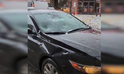 Tenis topu büyüklüğünde dolu yağışı: Hayvanat bahçesinde 1 hayvan telef oldu