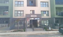 Deprem konutlarında parçalanmış halde yavru kedi bulundu