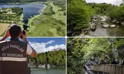 Doğa Koruma uzmanlığına tez zorunluluğu getirildi!