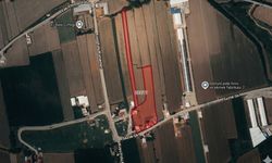 Elbistan'da 13 dönüm tarla ve 5 ev icradan satılık!