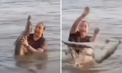 Elini Attı, Dehşeti Yaşadı! Kütük Diye Timsaha Dokundu