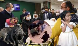 Gaziantep Şahinbey’de pitbull saldırısı davasında karar! Sanıklara hapis cezası