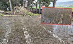 Gaziantep’te dolu sürprizi! Nohut büyüklüğünde yağdı, ekinler zarar gördü