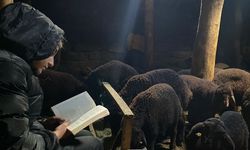 Gündüz hayvan bakıyor, gece kitaplara koşuyor