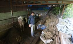 Hatay’da heyelan ahırın kapısını kapattı: Hayvanlar mahsur kaldı