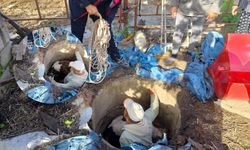 Hatay'da kuyuya düşen buzağı için seferberlik: "Çıktı paşa" sesleriyle kurtarıldı