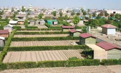 Hobi Bahçeleri Yıkılacak mı? Yeni Tarım Yasası ve Cezalar