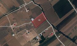 Kahramanmaraş Afşin’de sulu tarım arazisi mahkemeden satışta