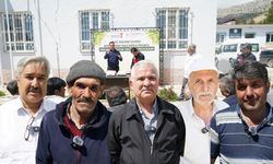 Kahramanmaraş Bertiz’de bağlara doğal kalkan!