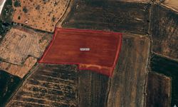 Kahramanmaraş Göksun’da mahkemeden satılık tarla! Fiyatlar açıklandı