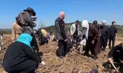Kahramanmaraş şehitleri için hatıra ormanı kuruldu