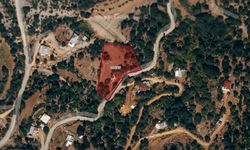 Kahramanmaraş'ta 3 bin metrekarelik bahçeli ev icradan satışa çıktı