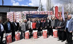 Kahramanmaraş'ta 5 milyon TL bütçeli ayçiçeği projesi!