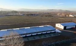 Kahramanmaraş’ta hayvancılığa yatırım! Elbistan’da modern tesis