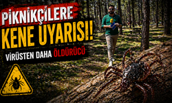 Kahramanmaraş’ta piknikçilere kene uyarısı: Virüsten daha tehlikeli