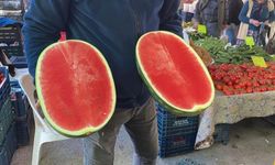 Kahramanmaraş’ta Sezonun İlk Karpuzu Pazara Düştü: Dilim Dilim Satılıyor