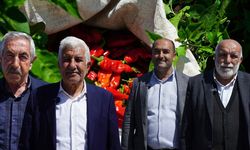 Kahramanmaraş'ta üreticiye 650 bin hibe fide desteği!