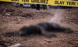 Kahramanmaraş’ta yakılmış köpek ces*di bulundu