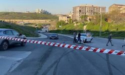 Kamyonet önce 4 araca çarptı sonra devrildi