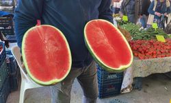 Karpuz Tezgahta Ama Dilimle! Fiyatı Gören Şaşkınlığını Gizleyemedi