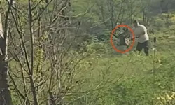 Köpeğe acımasızca işkence eden şahıs kıskıvrak yakalandı