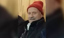 Kovana bakım yaparken boğazından arı soktu, öldü