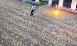 Maymunu kovarken elektrik akımına kapılıp can verdi