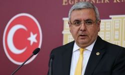 Mehmet Metiner Kimdir? ABD Neden Vize Vermedi?