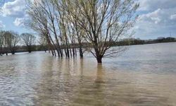Meriç Nehri taştı, Edirne’de tarım arazileri sular altında