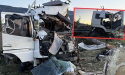 Mersin Gülnar'da freni boşalan TIR ağaca çarptı