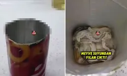 Meyve Suyundan Çıkan Görüntü Şoke Etti: “Yılan Ölüsü” İddiası!