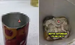 Meyve suyundan yılan mı çıktı, yılan çıkan meye suyu hangi marka?