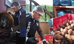Mide bulandıran görüntü: Sinekler uçuşan çürümüş patatesler zabıta ekiplerini hayrete düşürdü