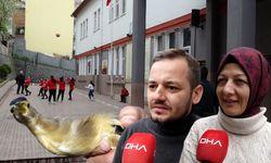 Okul bahçesinde 'balaban' sürprizi! Öğrenciler seferber oldu