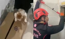 Onikişubat'ta kedi kurtarma! 4 yavru hayata tutundu