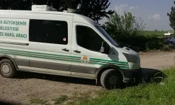Ormanlık Alanda Parçalanmış Erkek Cesedi Bulundu