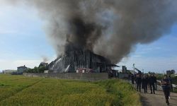 Patates Cipsi Üreten Tesis Yangınla Küle Döndü