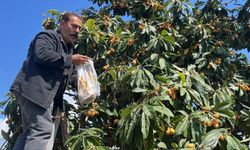 Poşetini Alan Bahçeye Koştu: Meyveler Bedava Dağıtıldı