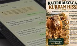 İnternetteki bu tuzağa dikkat: Dolandırıcıların ucuz kurbanlık oyunu...