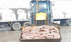 Sakarya'da gıda operasyonu! 32 ton tavuk eti ele geçirildi