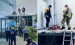 Silah Seslerinin Ardından Kadın 6’ncı Kattan Atladı